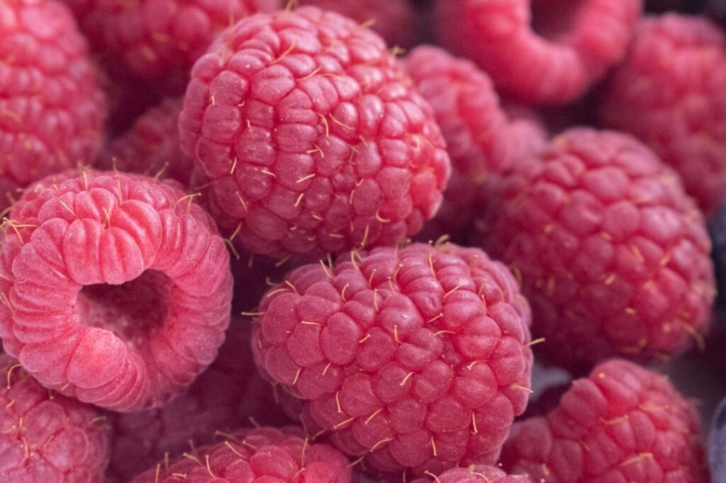 How And When To Prune Raspberries