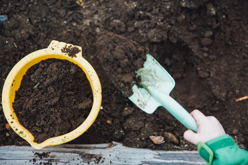 Are Compost Bins Worth It? (And How To Use Them)