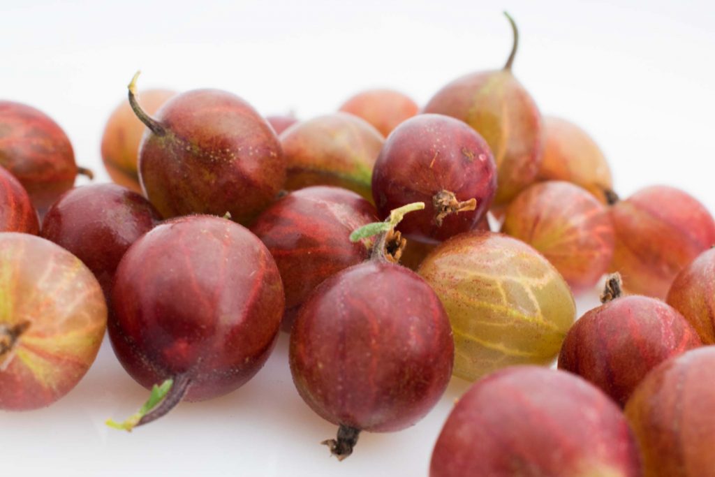 Gooseberries In The Garden: Forgotten Soft Fruit Rediscovered