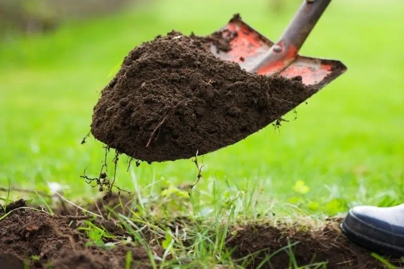 Can Potting Soil Be Used On Lawn?