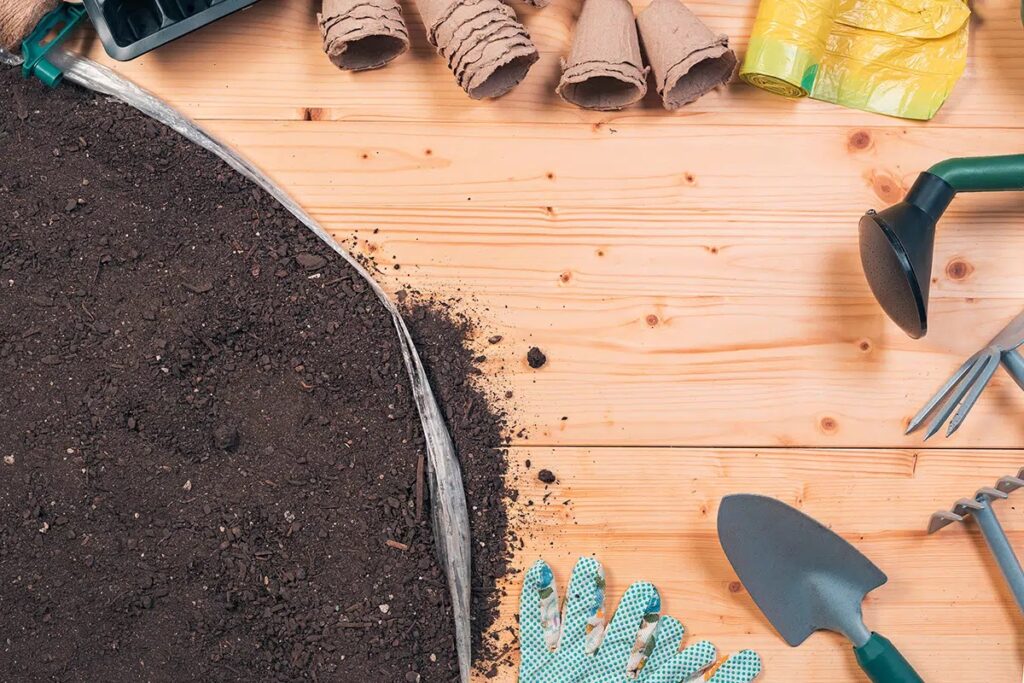 6 Differences Of Potting Soil And Planting Soil