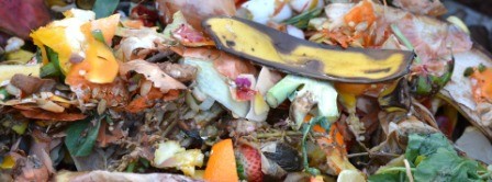 Bokashi From Kitchen Scraps - Bury Your Food Scraps In The Garden!