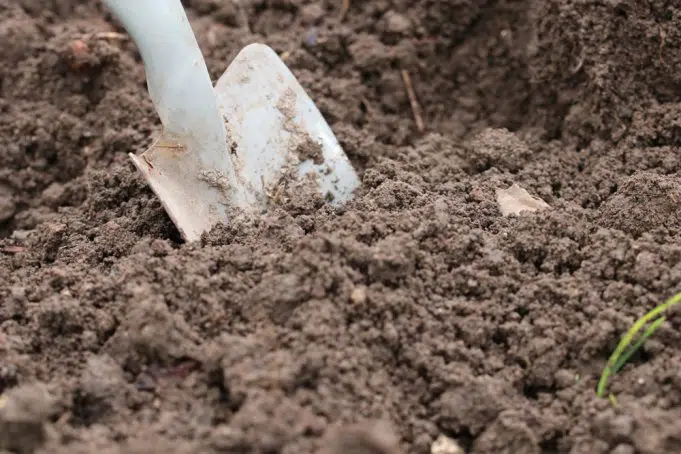 6 Differences Of Potting Soil And Planting Soil