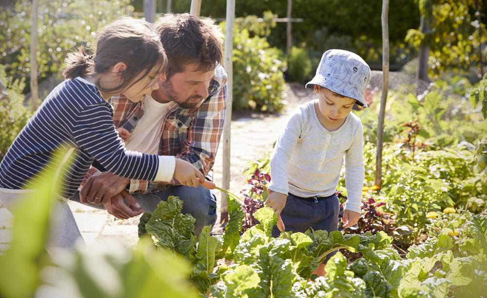 How To Engage Children With Gardening