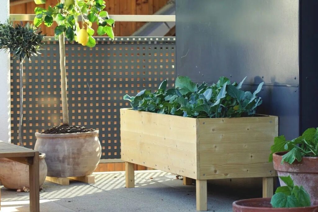 How High Should A Raised Bed Be?