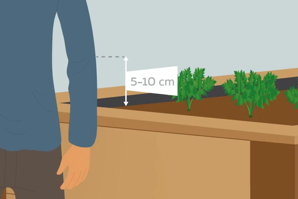 How High Should A Raised Bed Be?