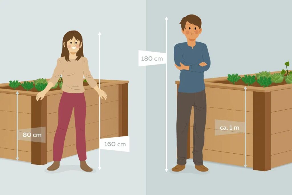 How High Should A Raised Bed Be?