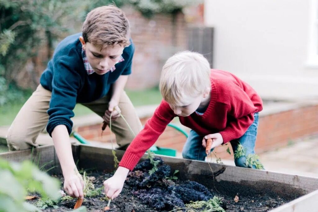 How High Should A Raised Bed Be?