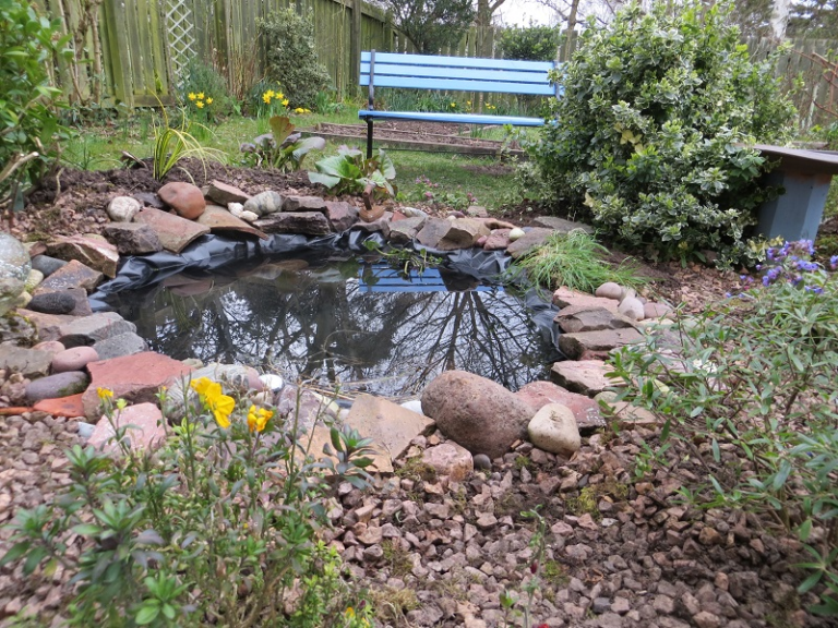 Pond Soil: What Substrate To Use For The Garden Pond? - Gardeninguru