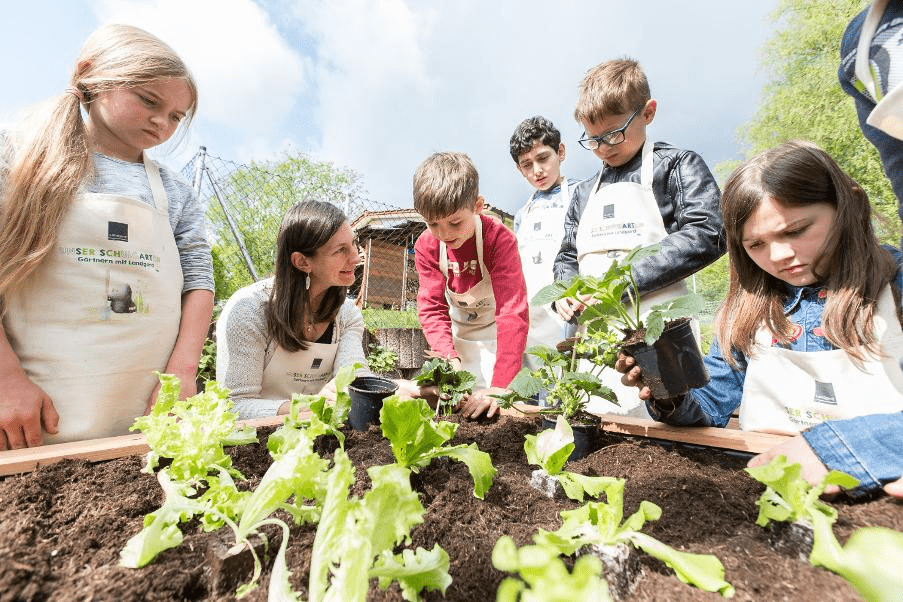 Why Is Gardening Good For Schools?