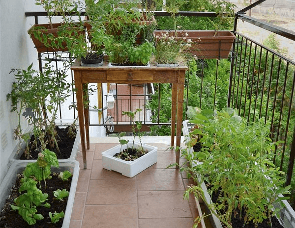 What Is The Best Soil For An Herb Garden?