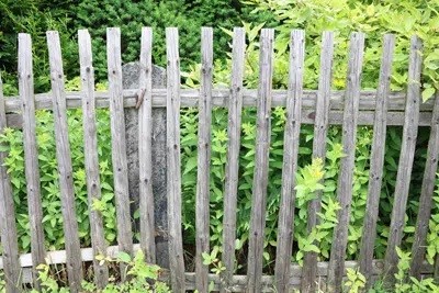 What Type Of Fencing Is Best For Gardens?