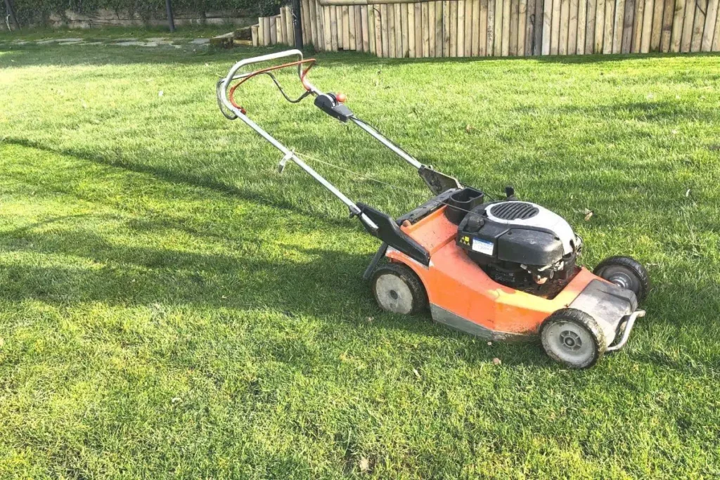 How Often Should You Mow The Lawn?