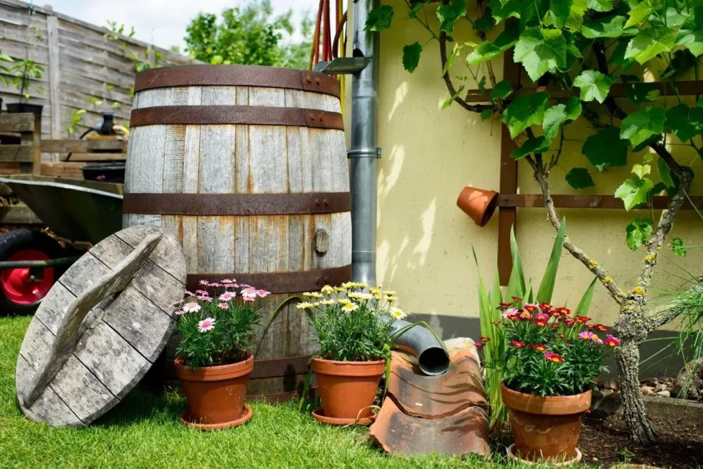 Repair Rain Barrel: How To Patch Small Cracks