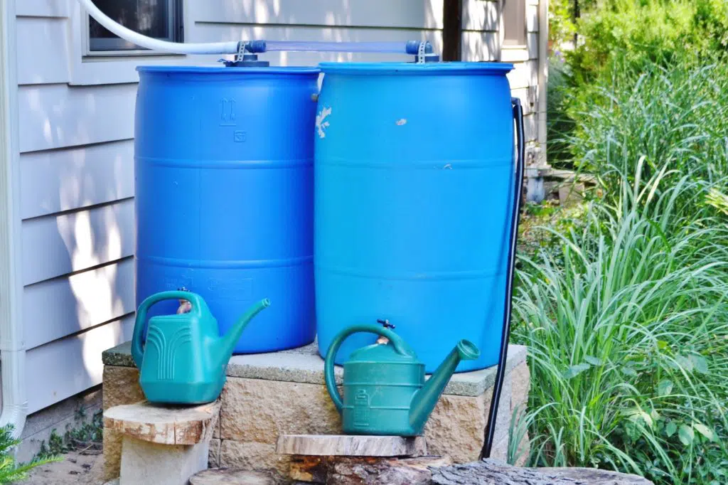 Repair Rain Barrel: How To Patch Small Cracks