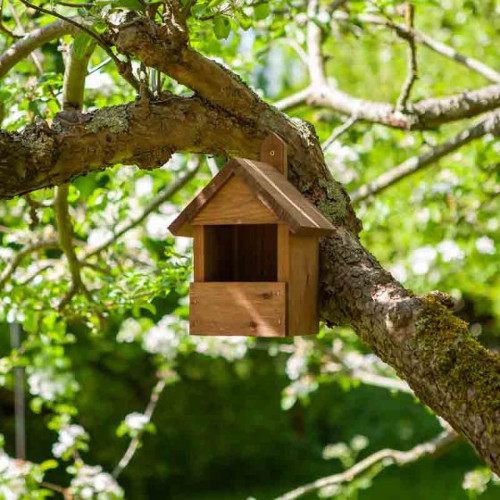 Can Bird Boxes Be Close Together?