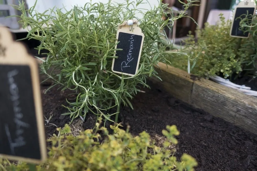 What Is The Best Soil For An Herb Garden?