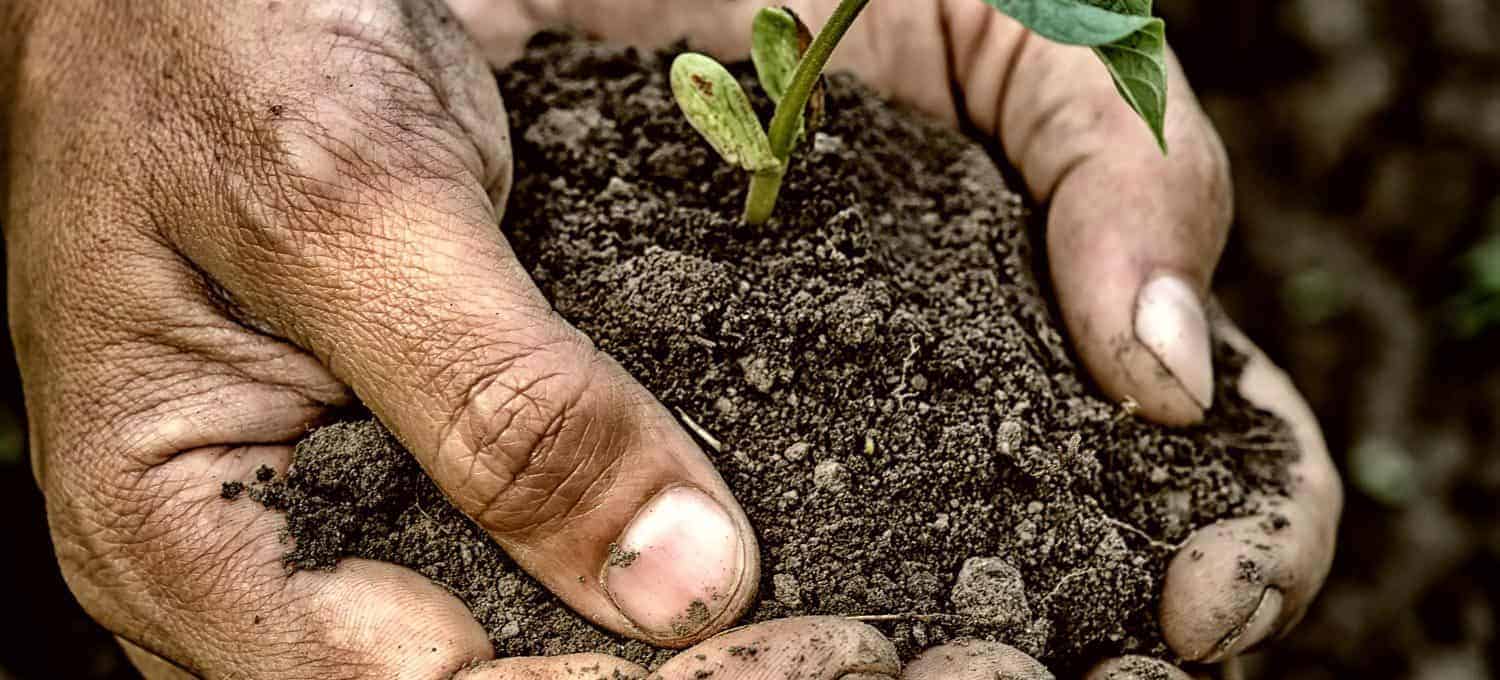 What Is Dark Earth Soil? Terra Preta - Black Earth - Gardeninguru