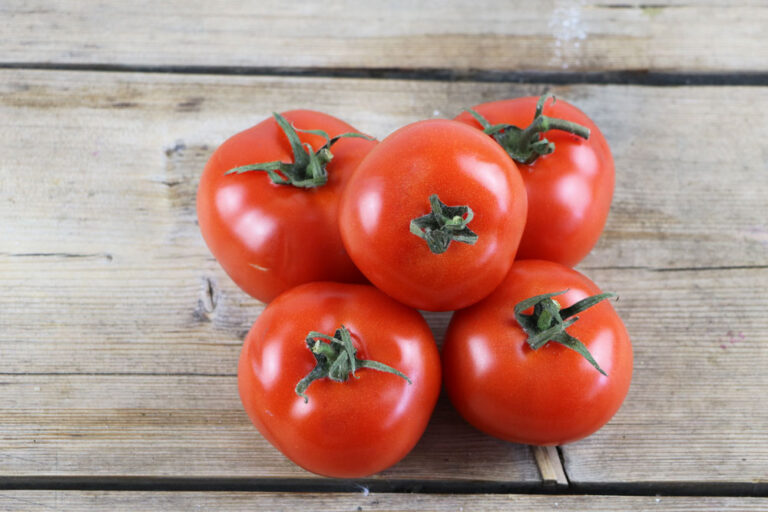 How Long Should You Fertilize Tomatoes For?