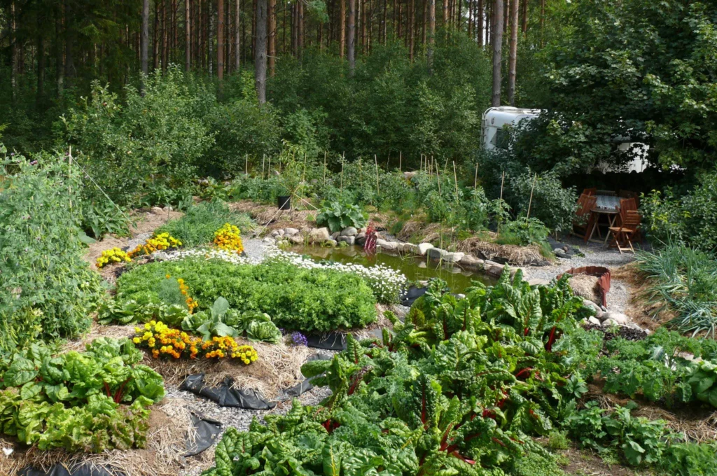 What Are The Core Principles Of Permaculture?