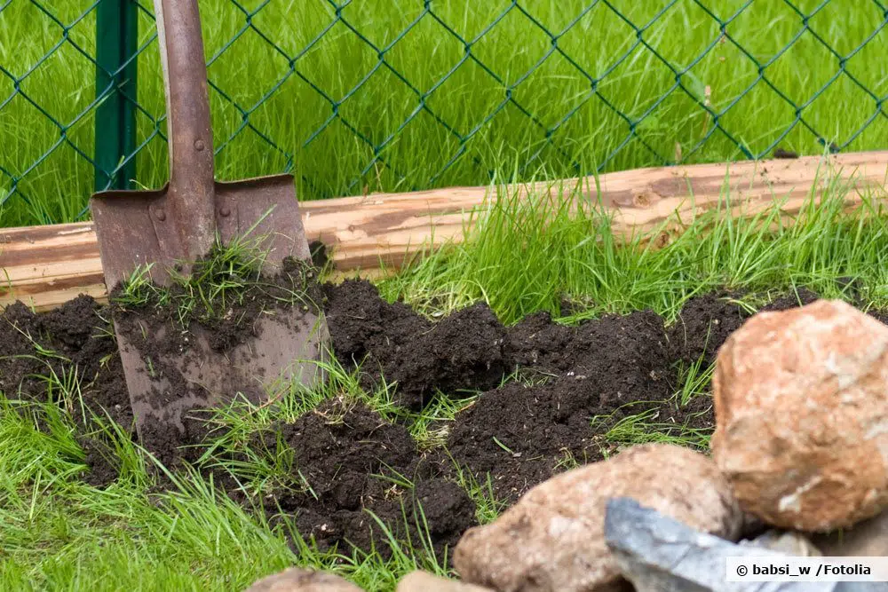 Removing Lawn: 7 Ways To Remove The Old Sod
