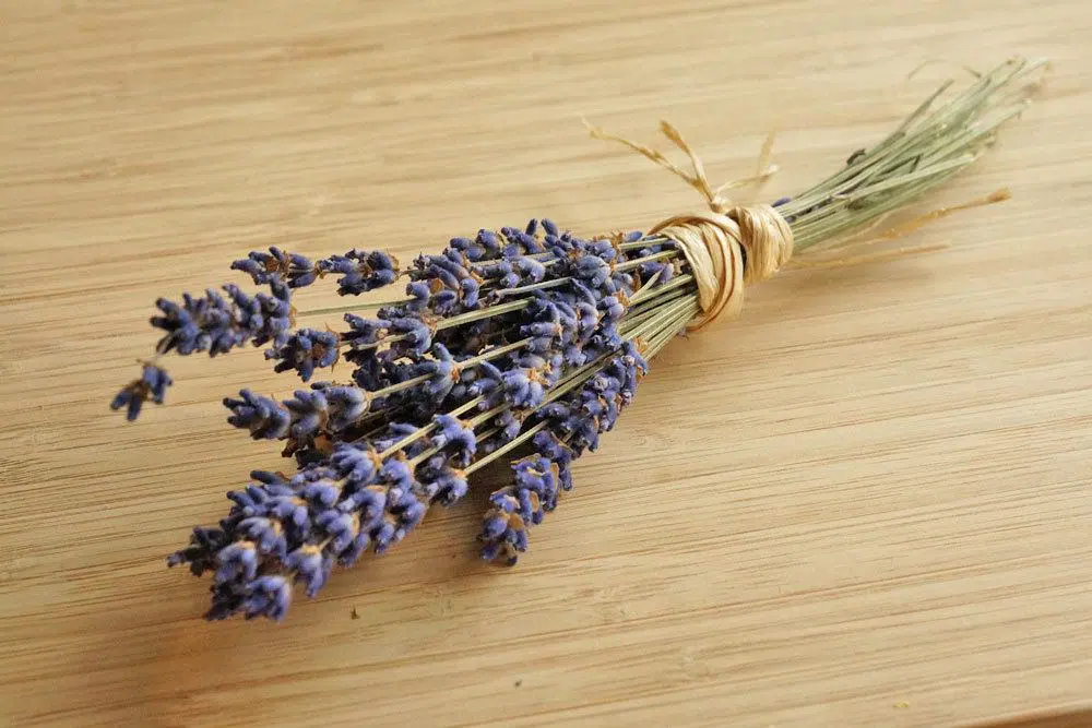 Are Lavender And Crested Lavender Edible?