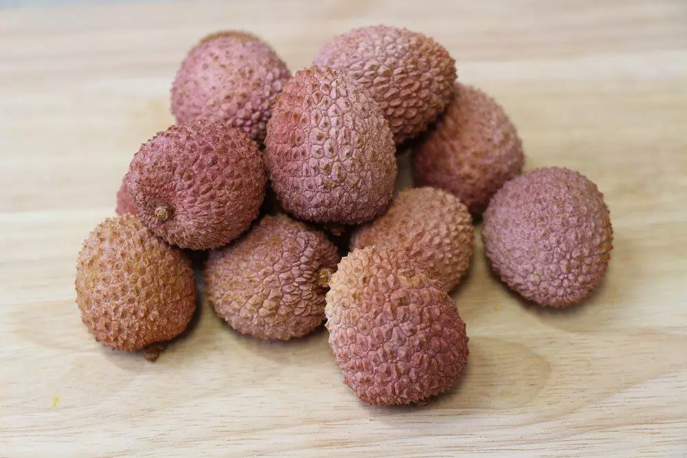 Grow Lychee Tree: How To Grow Your Own Lychee Plant