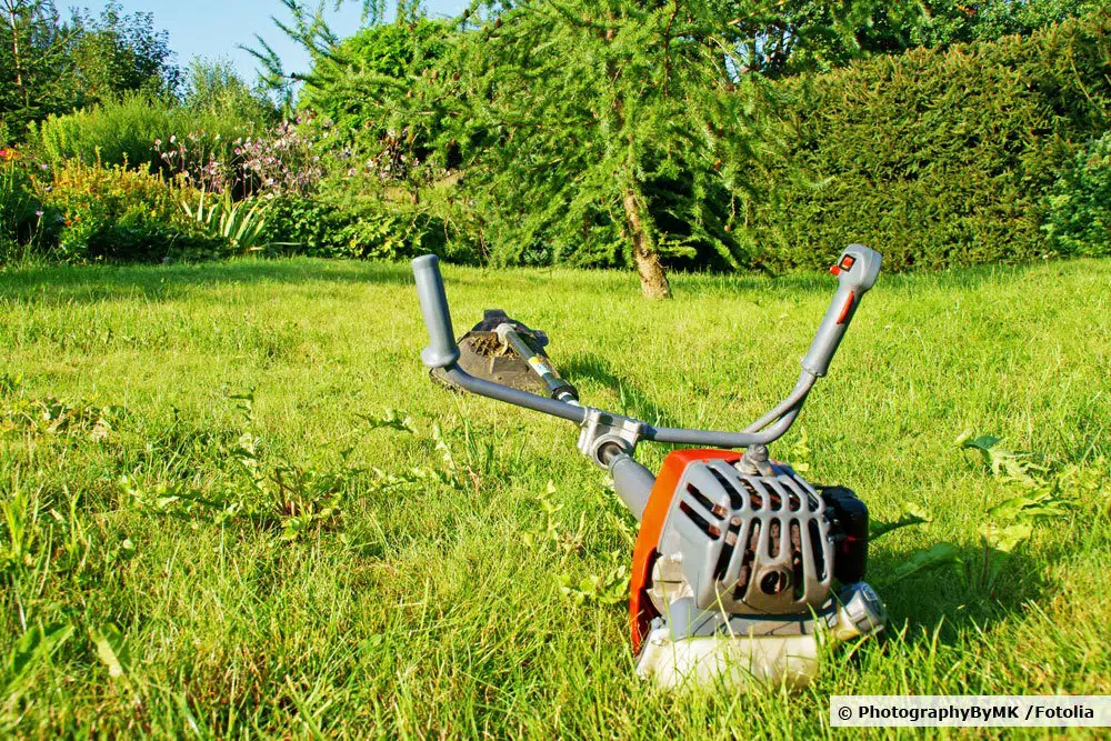 Lawn Trimmer With Thread, Blade Or Scythe?