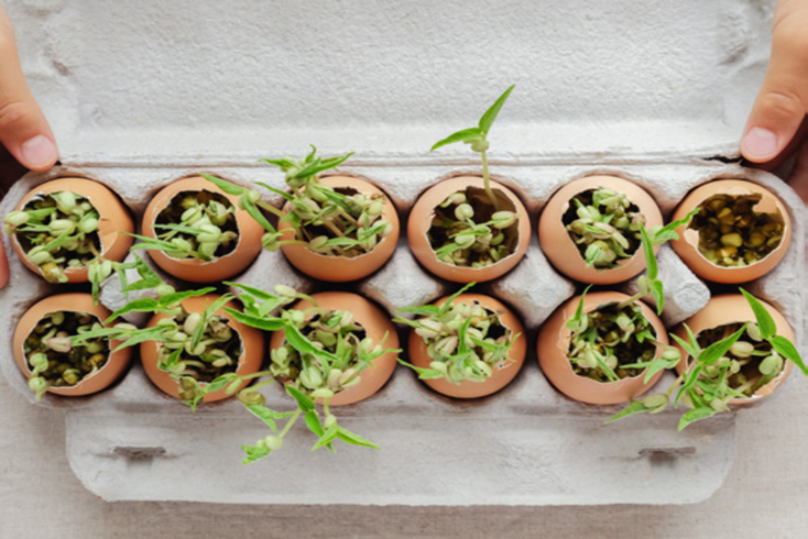 Make Your Own Growing Pots: 3 Environmentally Friendly Ideas