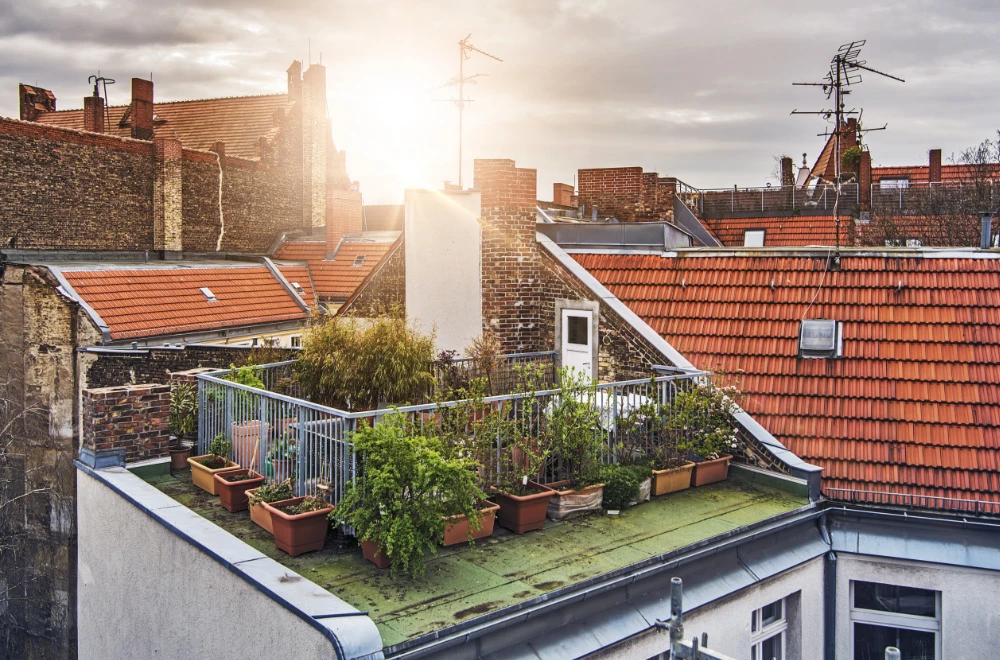 Urban Gardening: Where Can I Garden In The City?