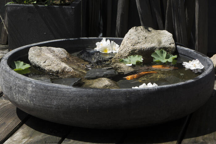 Balcony Pond: How To Make One!