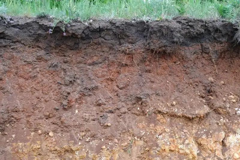 How Do You Fix Wet Compact Topsoil?