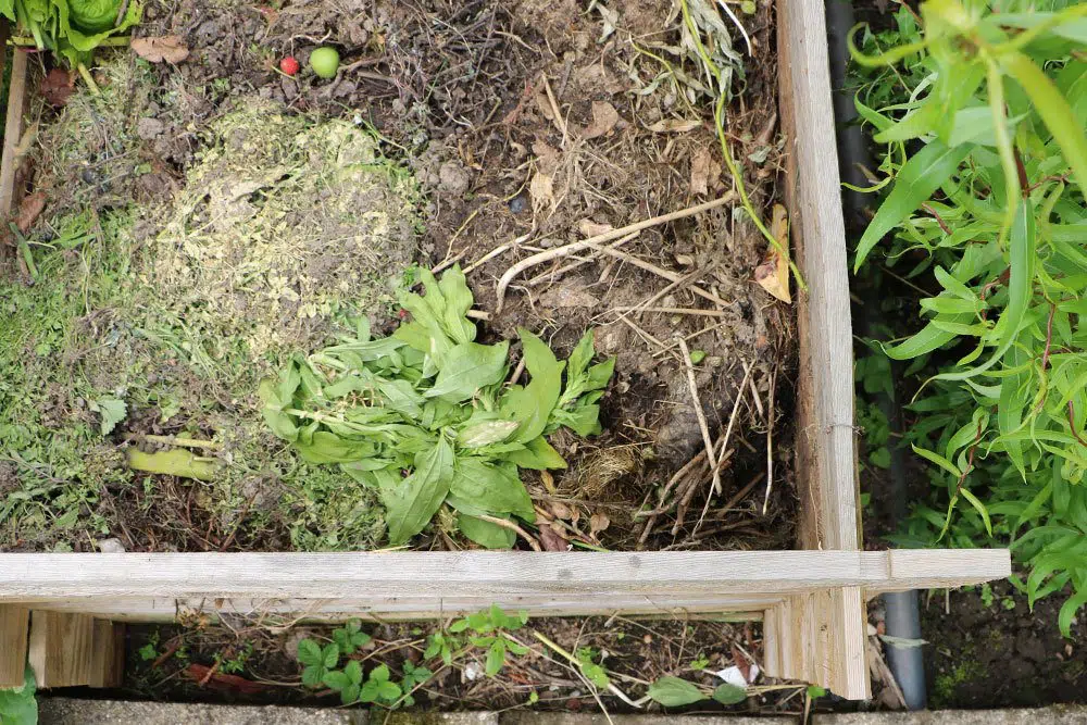 Are Rotten Apples Allowed In The Compost?