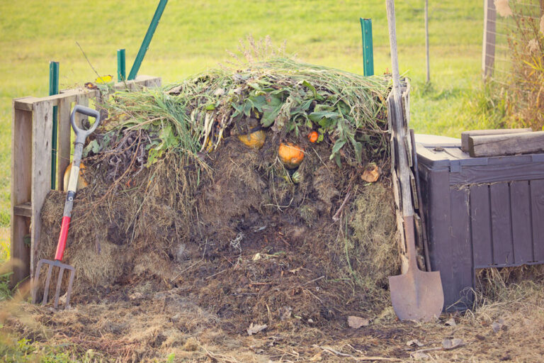 What Can And Can Not Be Put On The Compost – Composting Waste Correctly