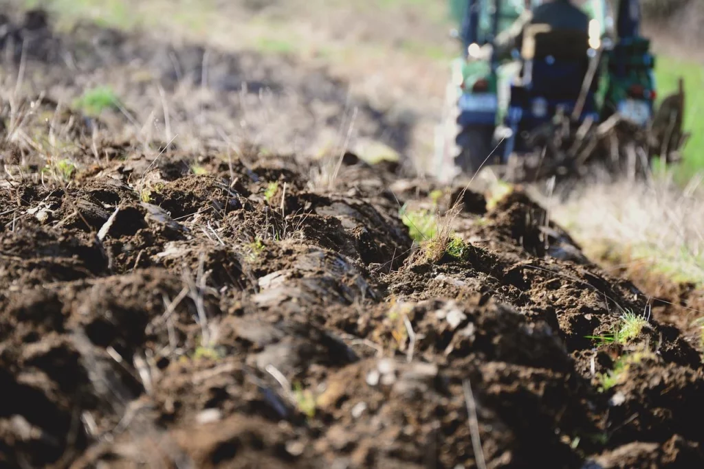 No-dig Method: How To Create Beds Without Digging Up