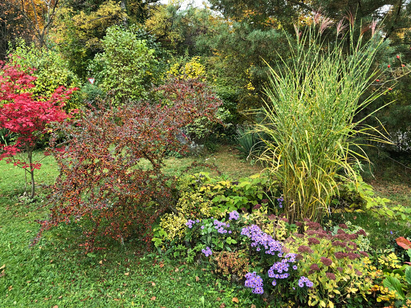 Gardening In Autumn - What To Do Now