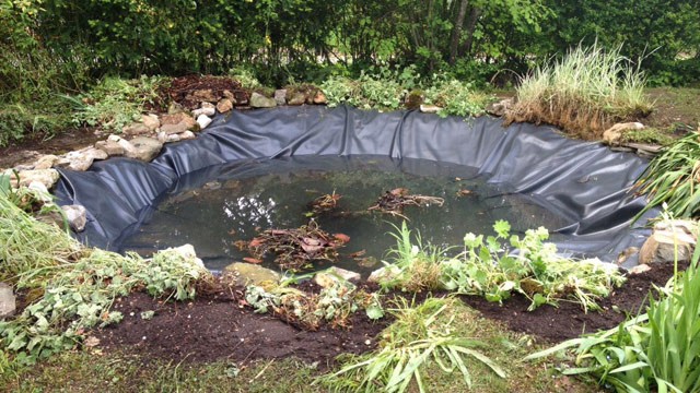Garden Pond In The Spring: What To Do