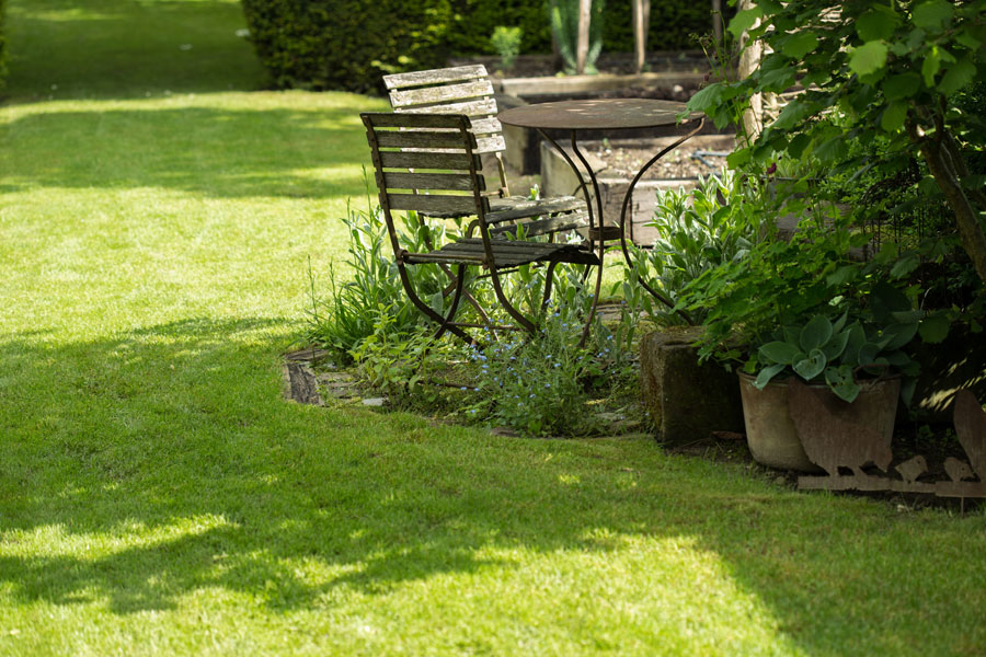 Turf In The Garden: Which Type Of Turf Is Right For You?