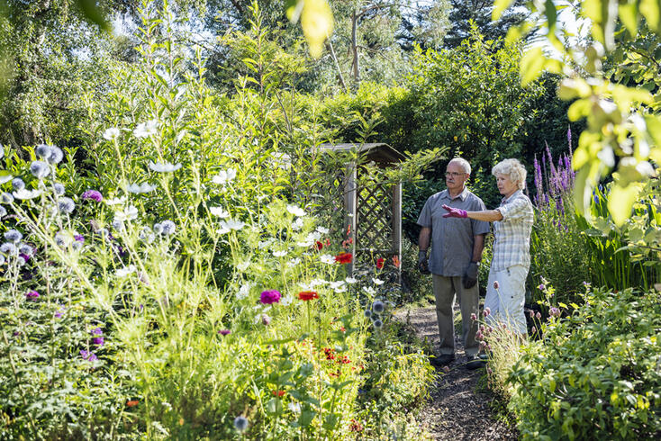 Fall Planting Vs Spring Planting: Which Is Better?