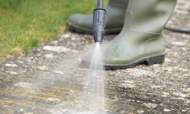 Removing Lichens: How To Make Paving Stones Clean Again