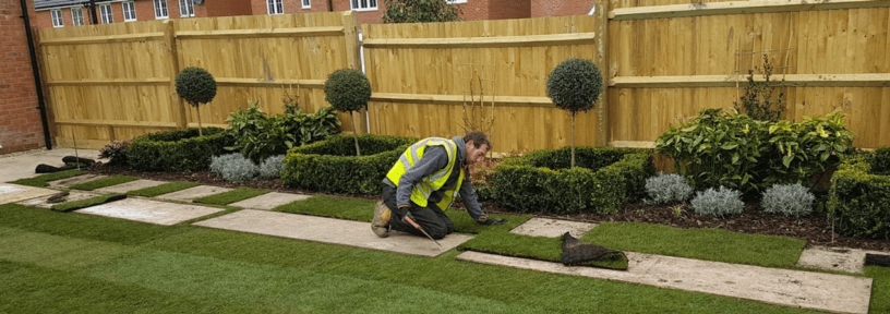 New Lawn Installation: 7 Steps To The Perfect Result