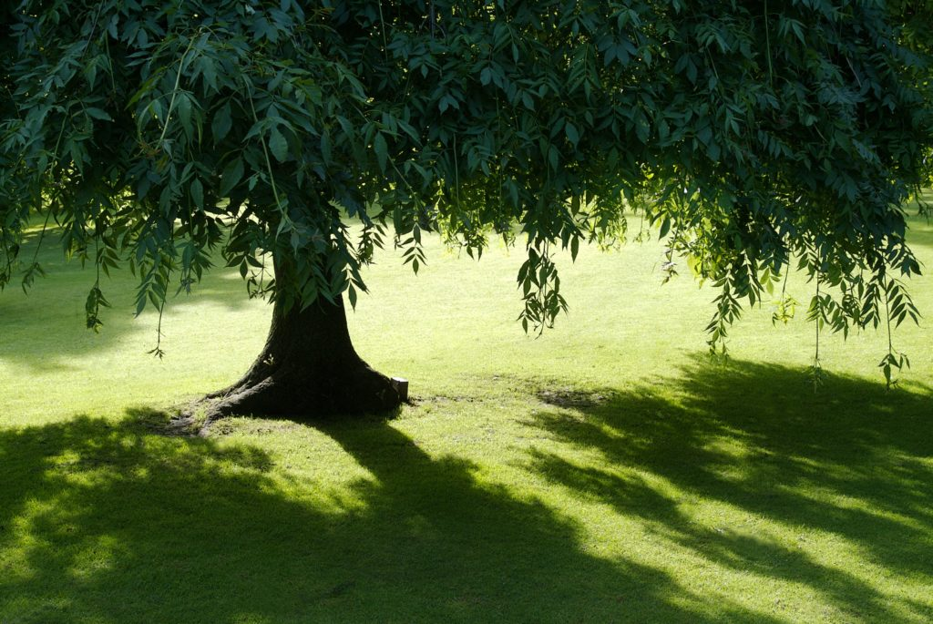 Sun Protection On The Terrace And In The Garden