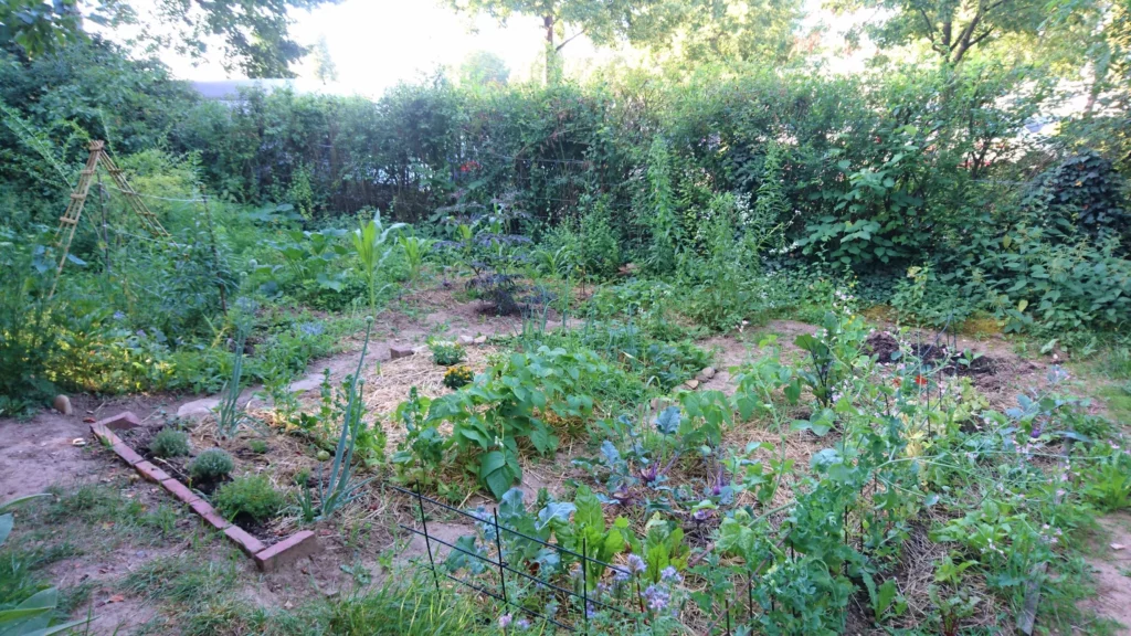 How To Make The Permaculture Garden A Success
