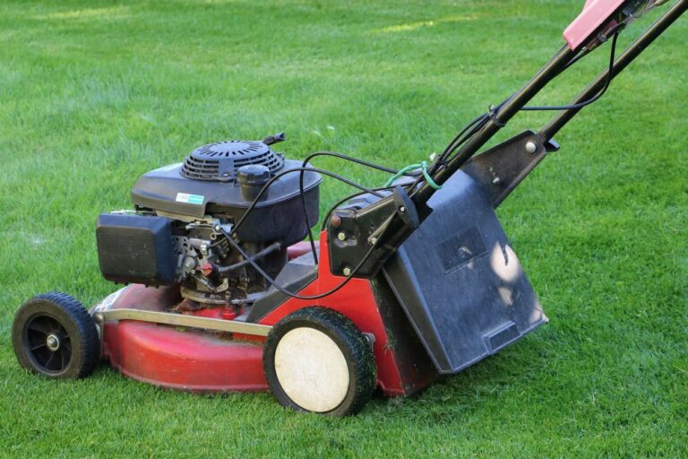 How To Mow The Lawn In The Heat And Drought