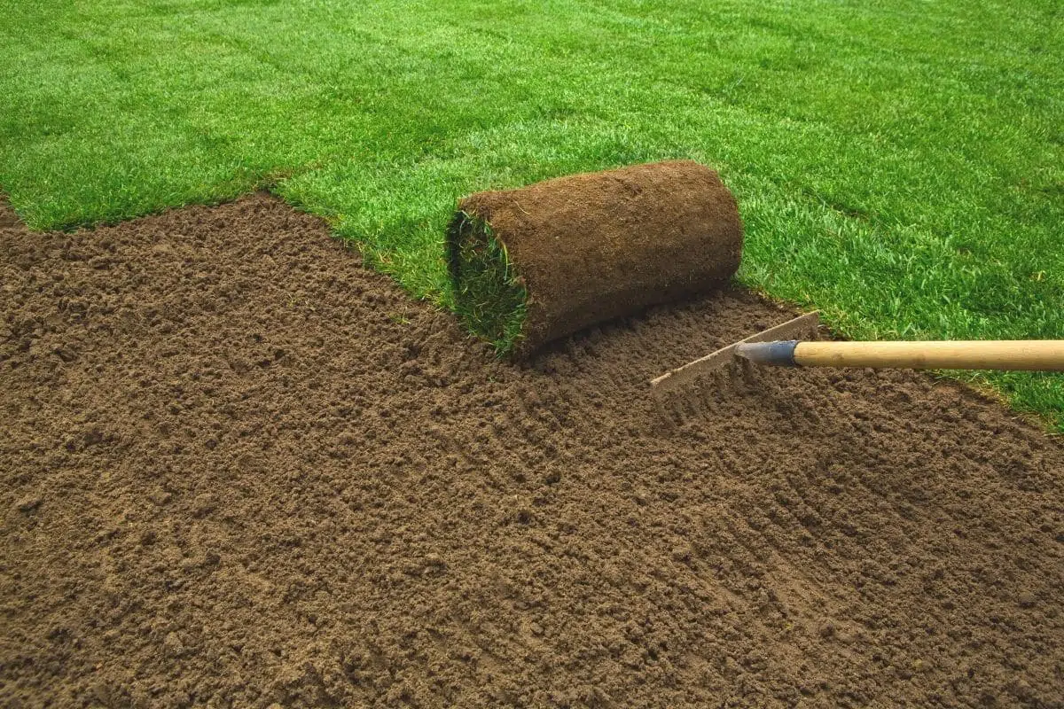 how-long-after-you-lay-turf-can-you-walk-on-it-gardeninguru