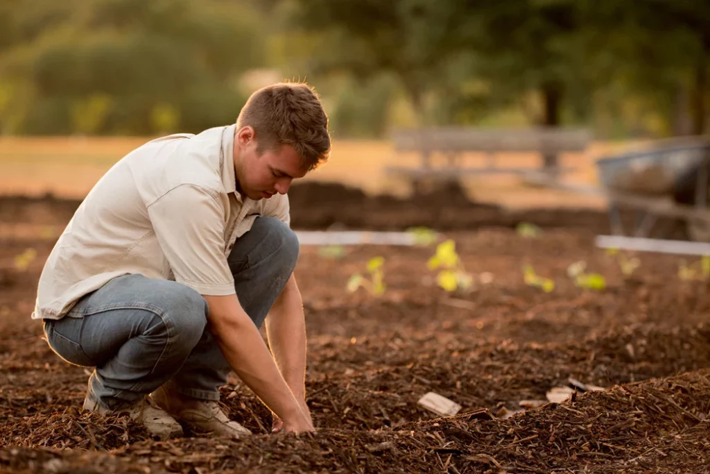 No-dig Method: How To Create Beds Without Digging Up