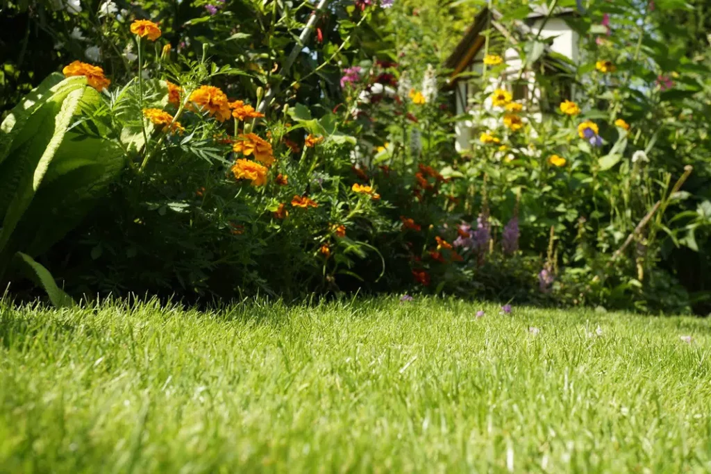 What's The Optimal Ph Value For Lawn Turf