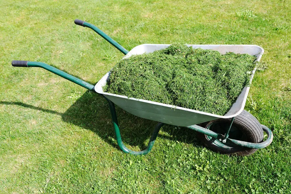 When Is The Best Time To Aerate Your Lawn