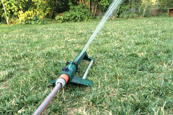 Properly Water The Lawn During Drought And Heat