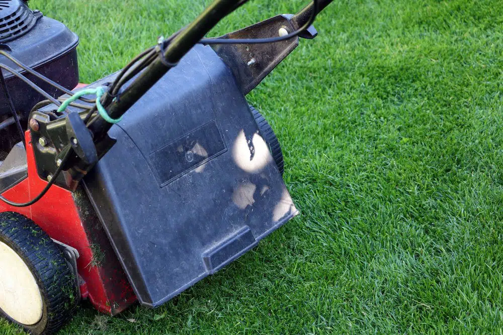Should You Mow Wet Lawn Or Not?